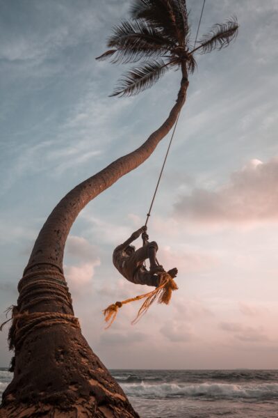 Coconut Tree Swinging